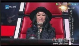 最新爆料那英过往事件视频